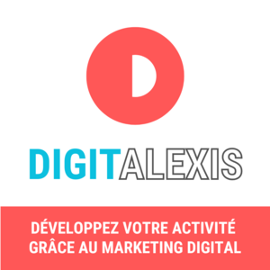 DigitAlexis Lyon, Conseiller en marketing, Webmaster