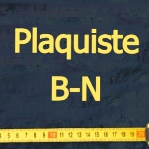 Plaquiste B-N Lapeyrouse-Mornay, Autre prestataire de services, Peintre en bâtiment
