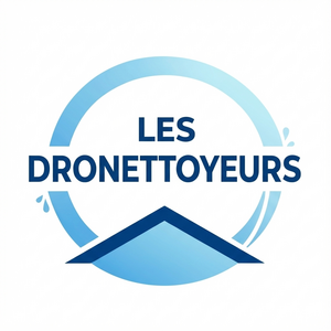 LES DRONETTOYEURS FRANCE Chessy, Autre prestataire de services, Pilote
