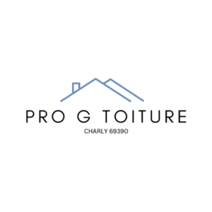 Pro G Toiture Charly, Couvreur, Couvreur