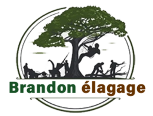 Brandon Elagage Drancy, Jardinier