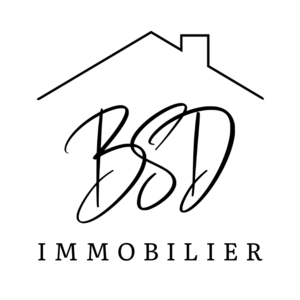 bsd-immo Benoit Sellier Dagnac Cuvat, Agent commercial, Agent commercial, Professionnel indépendant, Team leader
