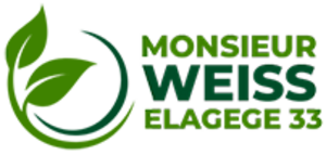 WM élagueur 33 bucheron abattage elagage Mérignac, Jardinier