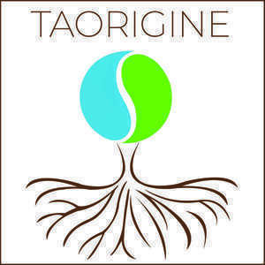 TAORIGINE Igon, Professionnel indépendant