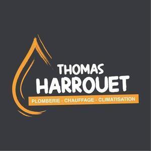 Harrouet Thomas Bonnétable, Professionnel indépendant
