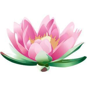 BIEN ÊTRE ET SANTE POUR TOUS - Nicole Abadie Naturopathe Muret, Professionnel indépendant