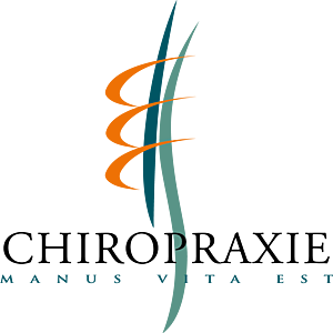 Stéphane Docoche Montfort-l'Amaury, Professionnel indépendant