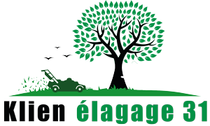 Klien Elagage 31 Villeneuve-Tolosane, Paysagiste, Jardinier