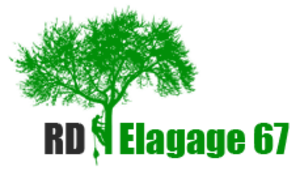 RD Elagage 67 Brumath, Jardinier