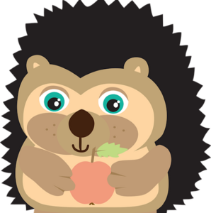 Aurore Lépinay Antony, Professionnel indépendant