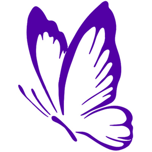 NANCY MAGNETISEUSE Le Gua, Professionnel indépendant