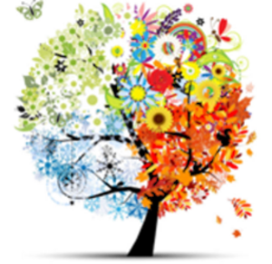 Hélène Pruel Mouazé, Professionnel indépendant