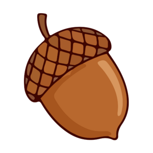 Lola Godet - Diététicienne Nutritionniste Lyon 1 Lyon, Professionnel indépendant