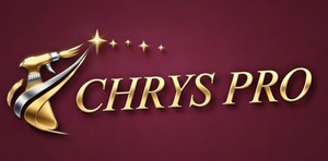 Chrys Pro Landivisiau, Professionnel indépendant