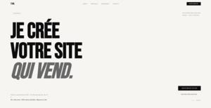 tom zambello Gradignan, Développeur