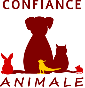 Confiance animale Quimperlé, Prestataire en soins et promenade d’animaux de compagnie