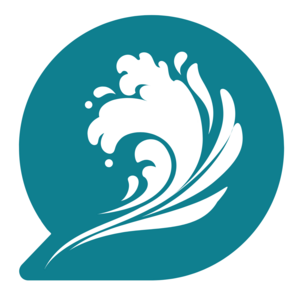 Talk with Flow Marseille, Formateur, Coach