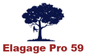 Elagage Pro 59 Lambersart, Jardinier