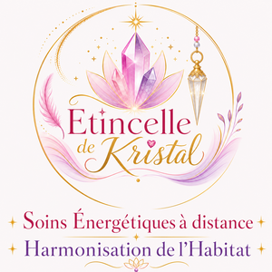 Etincelle de Kristal Le Mesnil-Saint-Denis, Professionnel indépendant