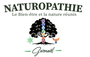 Gwenaël Naturopathe Saint-Louis, Professionnel indépendant