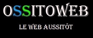 Ossitoweb La Roche-sur-Yon, Webmaster