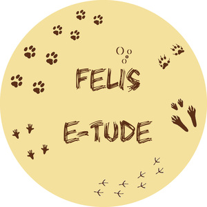 Felis E-tude Magny-les-Hameaux, Prestataire en soins et promenade d’animaux de compagnie