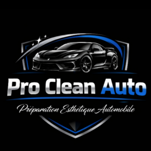 Pro Clean Auto Melun, Professionnel indépendant
