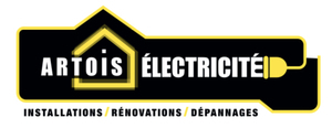 Artois électricité Tressin, Professionnel indépendant
