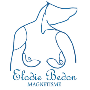 Elodie Bedon - Au delà du mental Clermont-Ferrand, Magnétisme, Animateur d'art, Créateur d'art, Praticien en massage bien-être