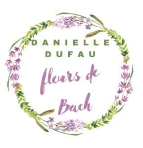 Danielle Dufau Chalon-sur-Saône, Professionnel indépendant