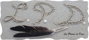 Les Plumes de Domi Reipertswiller, Autre prestataire administratif, juridique ou comptable, Traducteur