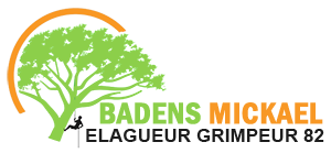 Badens Mickael Grimpeur Elagueur Montauban, Jardinier