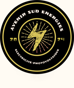 Avenir Sud Energies Solliès-Pont, Professionnel indépendant