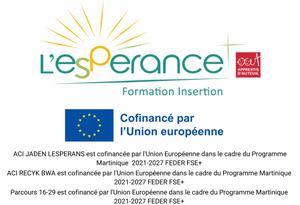 insertion sociale et professionnelle Fort-de-France, Formateur