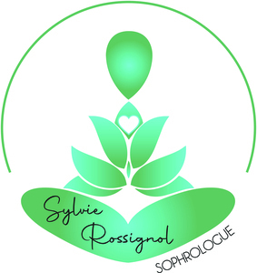 Sylvie Rossignol Champseru, Professionnel indépendant