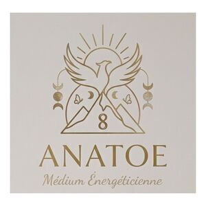 Anatoe Medium Energeticienne Fougères, Professionnel indépendant