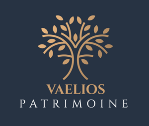 Vaelios Patrimoine Saint-Germain-en-Laye, Conseiller financier