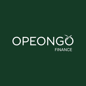 Opeongo Finance Urrugne, Professionnel indépendant