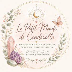le petit monde de cinderella Dompierre-sur-Besbre, Professionnel indépendant