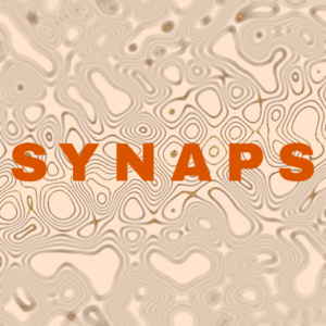Synaps Saint-Pierre, Designer web