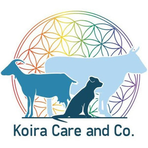 Koira Care and Co - Émeline VOITURET  Longcochon, Professionnel indépendant
