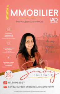 Ei sandy Jourdan-chaigneau Montauban, Agent commercial