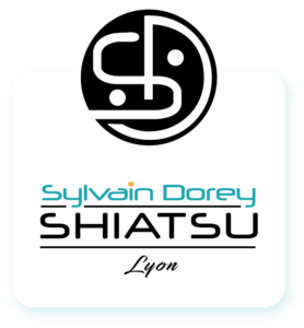Sylvain Dorey Lyon, Professionnel indépendant