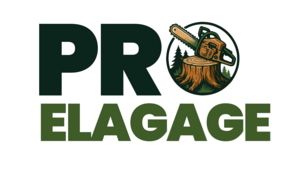 Pro Elagage KD Saint-Mesmin, Paysagiste, Jardinier, Paysagiste