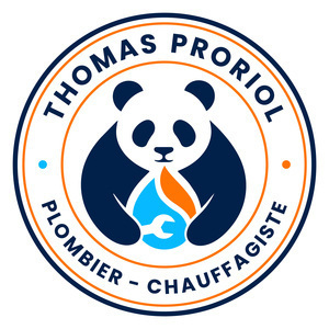 Thomas PRORIOL Saint-Étienne, Professionnel indépendant