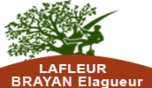 Entreprise Brayan Elagueur Saint-Junien, Jardinier