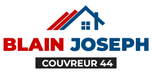 TOITURE RENOVATION Clisson, Couvreur